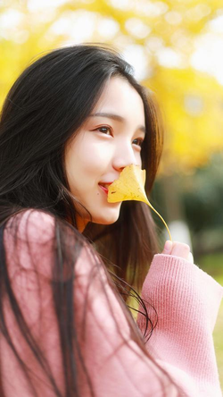 又大又粗又黄少妇毛片分类浏览